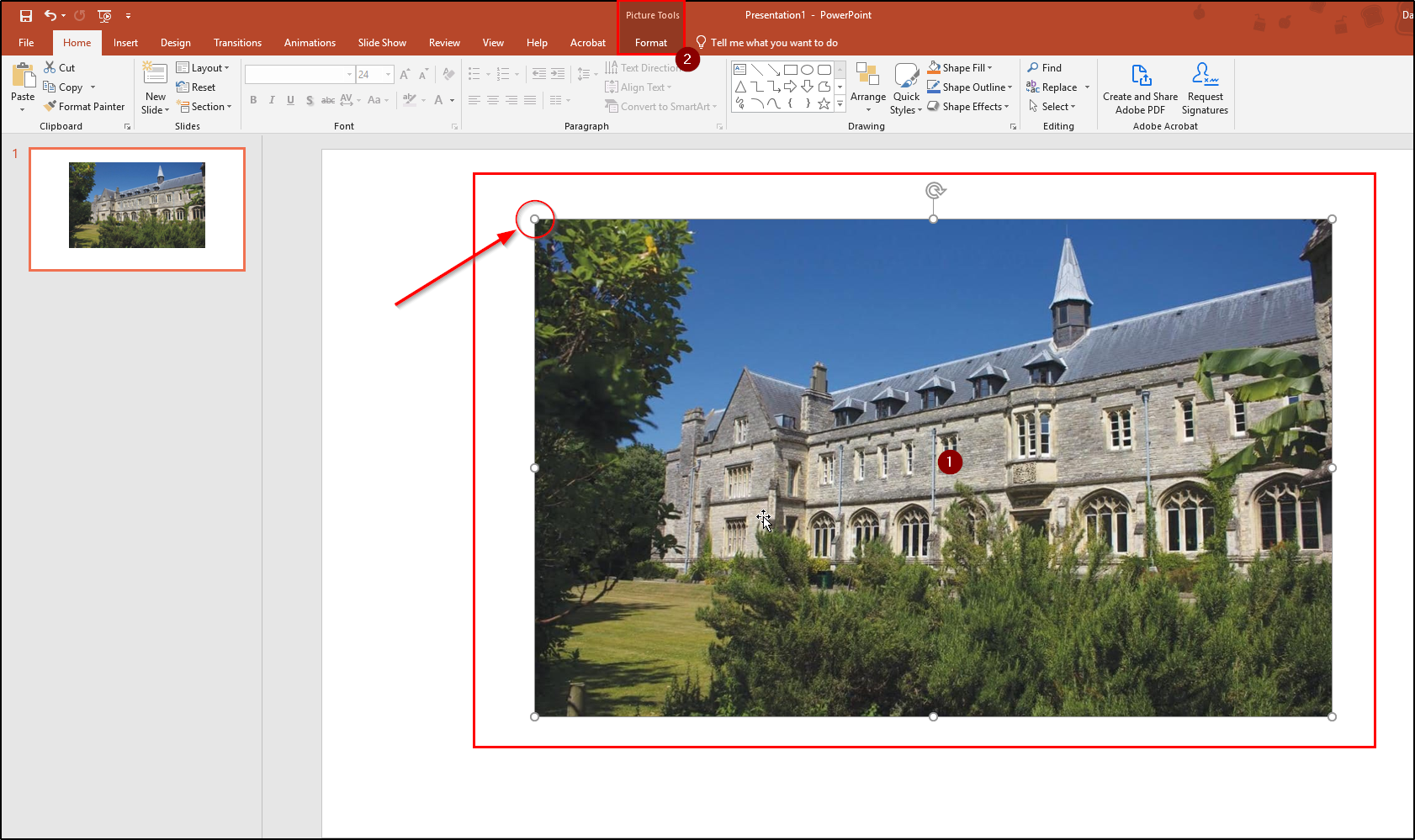 PowerPoint - How to remove the background from an Image | Support and  Information Zone