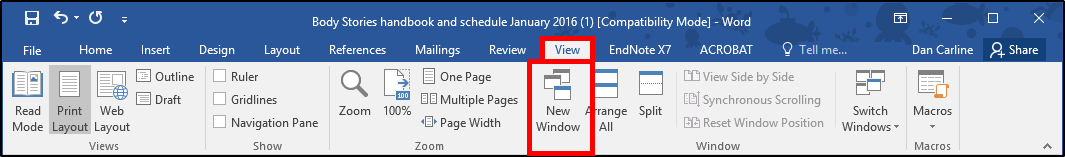 microsoft word page view options