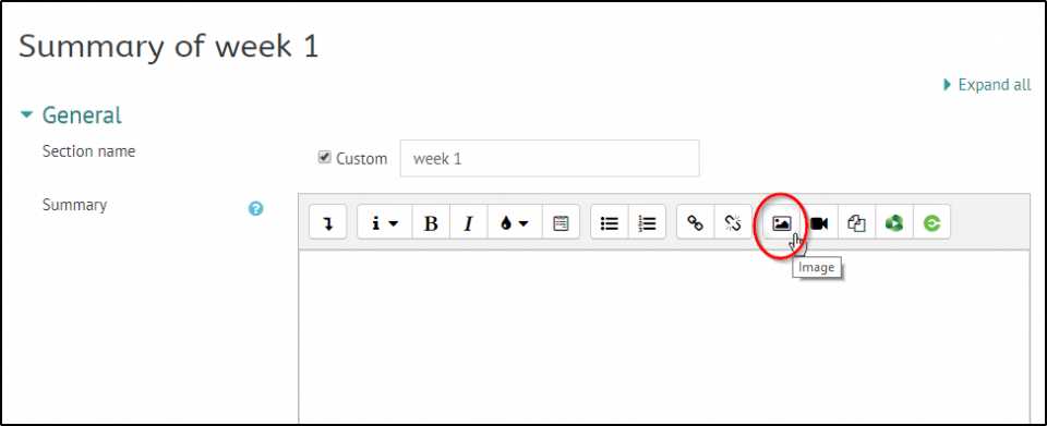 Click on Image icon