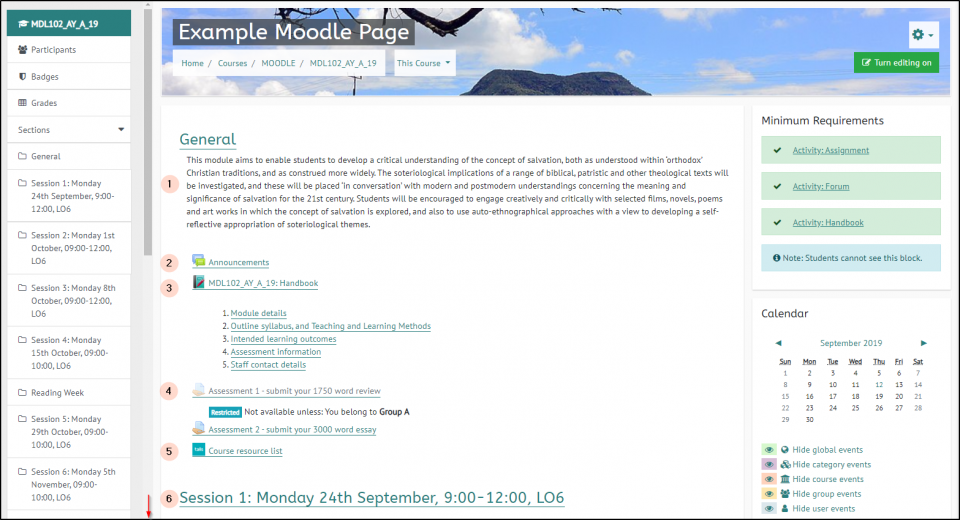 example Moodle page