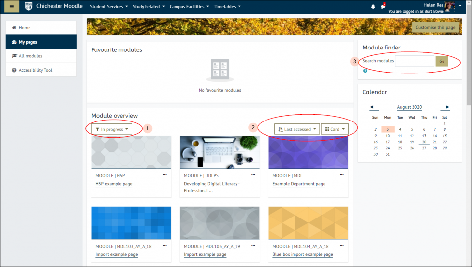 Screenshot showing filtering modules, text below